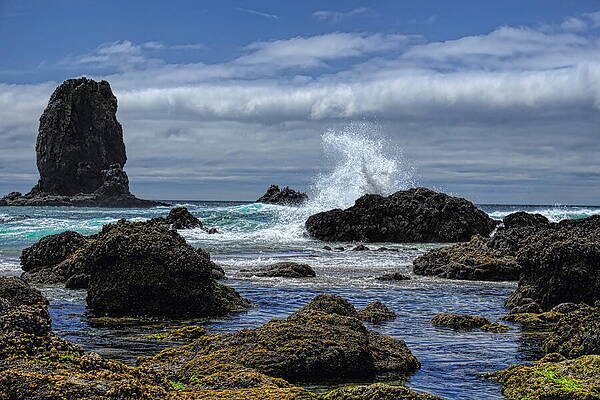 Wild Photograph - The Waves At Haystack Rock by Dale Kauzlaric