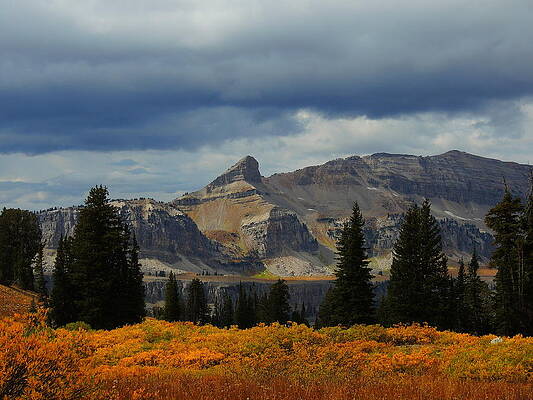 Wyoming Wall Art featuring the photograph The Wedge by Raymond Salani III