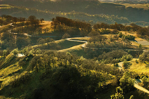 Wall Art featuring the photograph The Winding Road by Lisa Chorny