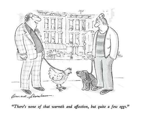 Chicken Wall Art featuring the drawing There's None Of That Warmth And Affection by Bernard Schoenbaum