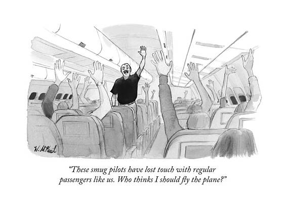 Passenger Volunteers to Fly Plane Wall Art