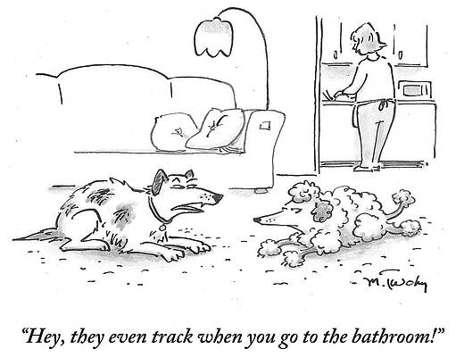 Satirical Conversation Between Dogs Drawing