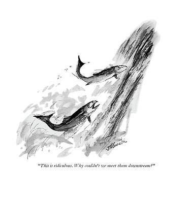 Wildlife Drawing - Why Couldn't We Meet Them Downstream? by Joseph Mirachi