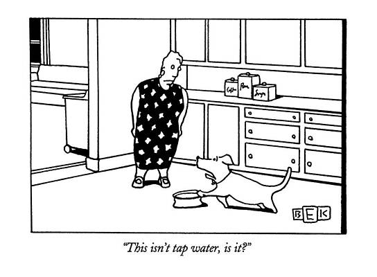 Dog Questions Water Quality Drawing