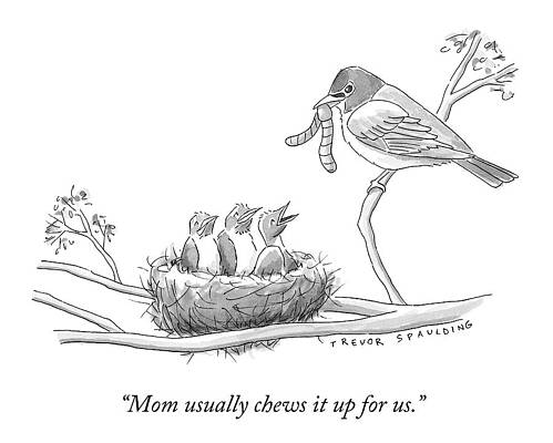 Birds with a Sense of Humor Drawing