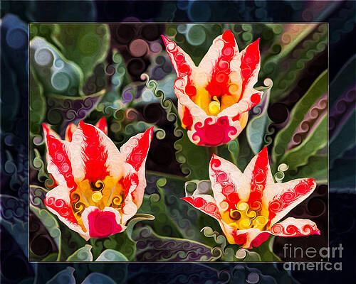 Spring Painting - Three Striped Tulips In An Abstract Garden Painting by Omaste Witkowski