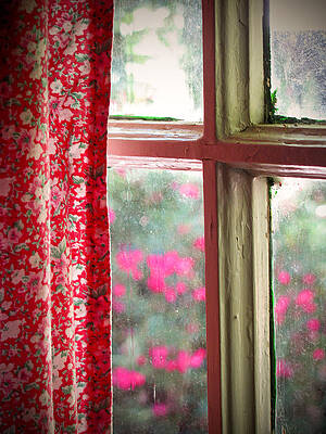 Through the Window by Lisa Chorny