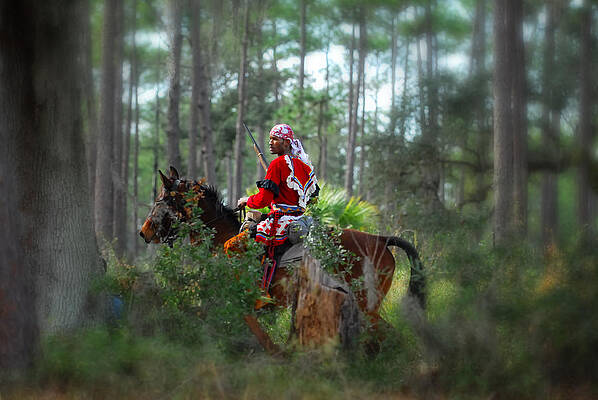 Florida Photograph - Through The Woods by Ghostwinds Photography
