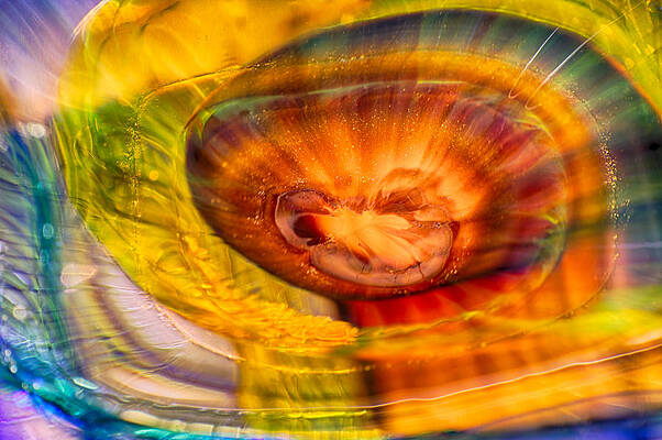 Wall Art featuring the photograph Tie Dyed Alien by Omaste Witkowski