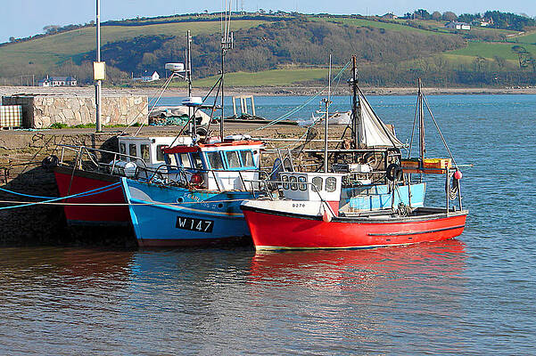 Cork Photograph - Tied Up by Mark Callanan