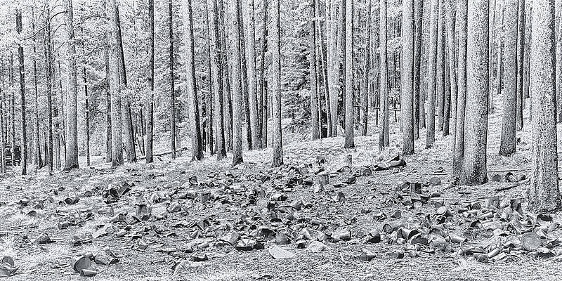 Montana Wall Art featuring the photograph Tin Can Alley by Ghostwinds Photography