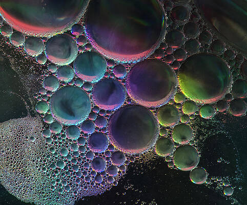 Wall Art featuring the photograph Tiny Bubbles by Nancybelle Gonzaga Villarroya