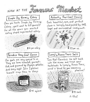 Salt Wall Art featuring the drawing Title: Now At The Farmer's Market Four Products by Roz Chast