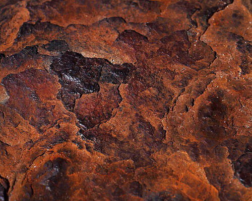 Wall Art featuring the photograph Topography Of Rust by Rona Black
