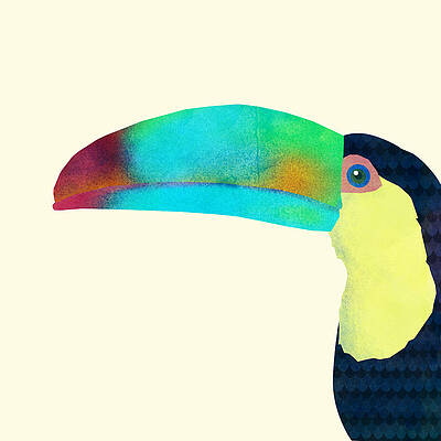 Colorful Toucan Profile Wall Art