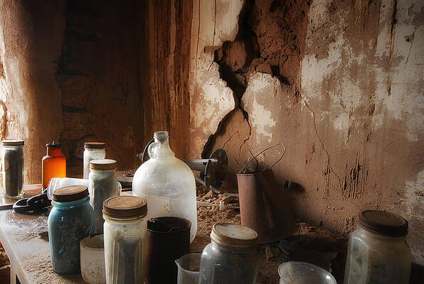 Forsake Wall Art featuring the photograph Toxic by Ghostwinds Photography