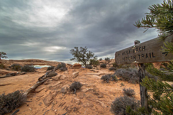 Nature Photograph - Trail To Mesa Arch by Jeff Stoddart