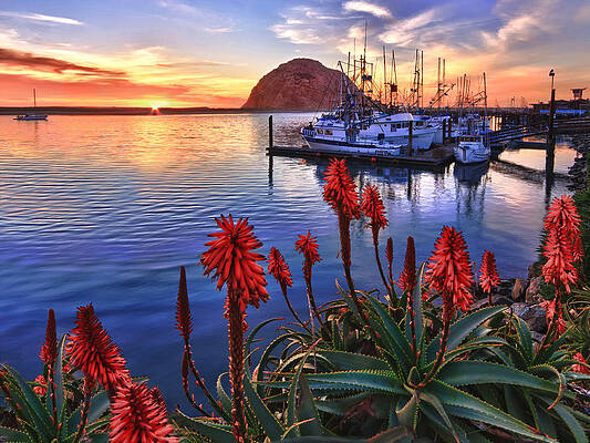 Sunset at the Harbor Photograph