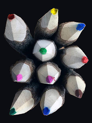 Color Wall Art featuring the photograph The Pointy Ends by Rick Locke - Out of the Corner of My Eye