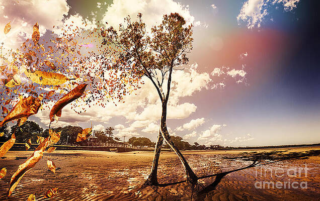 Wall Art featuring the digital art Tree Leaves On A Sea Change by Jorgo Photography