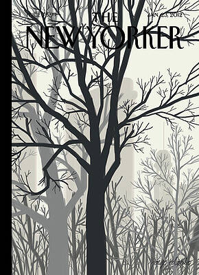 Winter Forest Silhouettes Wall Art