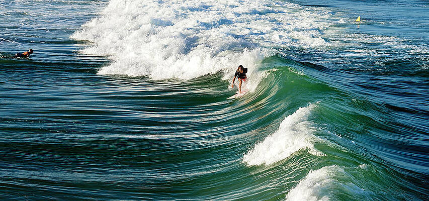 Happy Wall Art featuring the photograph Tropical Wave by Laura Fasulo