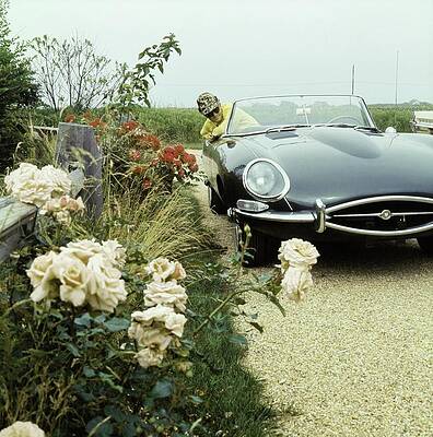 Classic Car in Blooming Garden Photograph