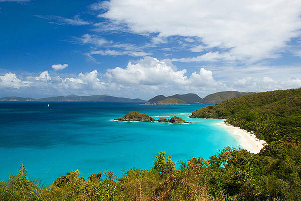 Wall Art featuring the photograph Trunk Bay by Lisa Chorny
