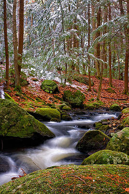 Wall Art featuring the photograph Tucker Brook First Snow by Jeff Sinon