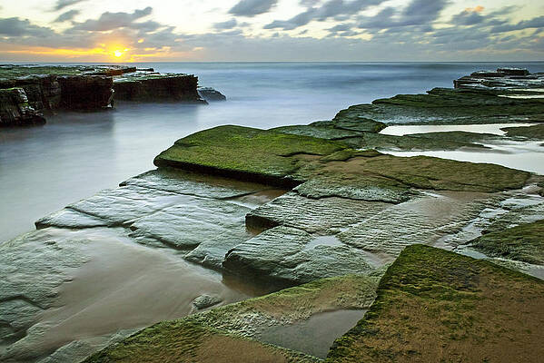 Beach Photograph - Turimetta Beach Sunrise by Nicholas Blackwell