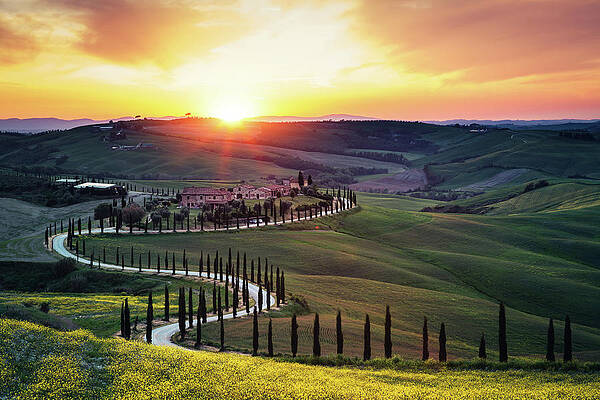 Wall Art featuring the photograph Tuscany Landscape At Sunset by Borchee