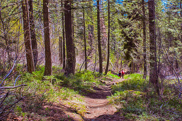 Wall Art featuring the painting Twisp River Trail by Omaste Witkowski