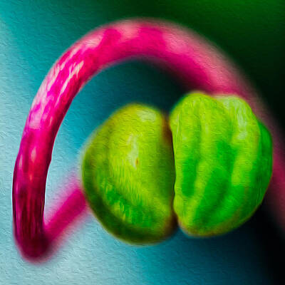 Summer Painting - Twisted Beauty by Omaste Witkowski