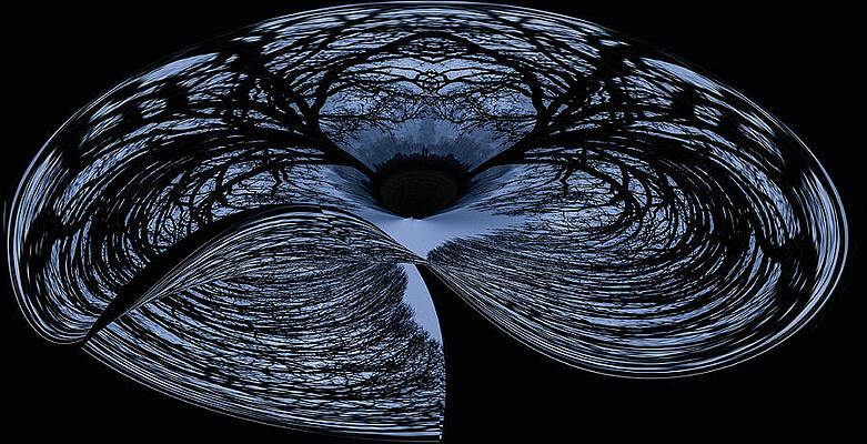Abstract Photograph - Twisted Tree by Jean Noren
