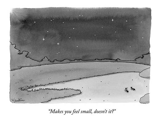 Ants Under a Starlit Sky Drawing