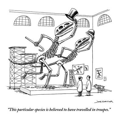 Humorous Dinosaur Skeletons Drawing