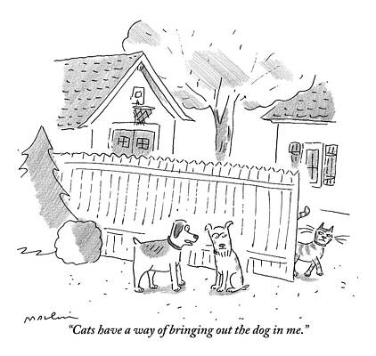 Outdoors Drawing - Two Dogs Are Speaking With A Cat Walking Near By by Michael Maslin