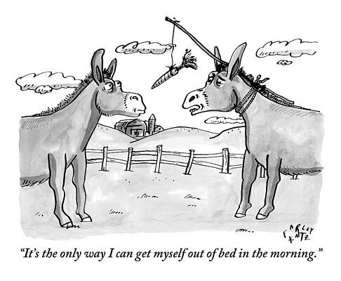 Vegetable Drawing - Two Donkeys Are Seen Talking To Each Other by Farley Katz