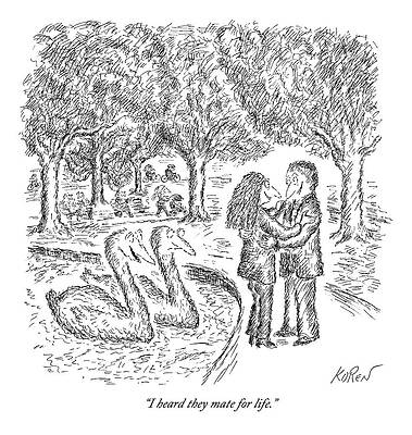 Couple Sways by Swan Pond Drawing