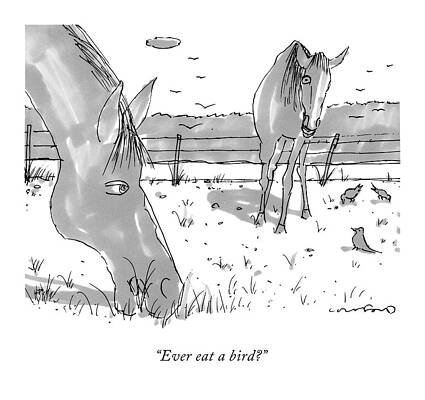 Farm Wall Art featuring the drawing Two Grazing Horses. A Few Birds Peck Nearby by Michael Crawford