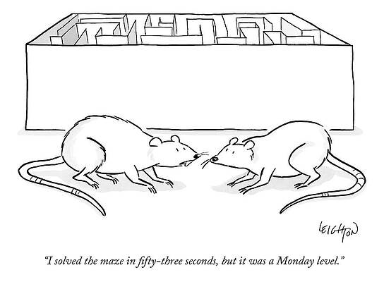 Lab Wall Art featuring the drawing Two Labs Rats Speak Outside A Maze by Robert Leighton