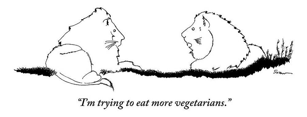 Lions Discussing Diets Drawing