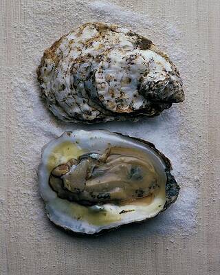 Oyster on a Bed of Salt Wall Art