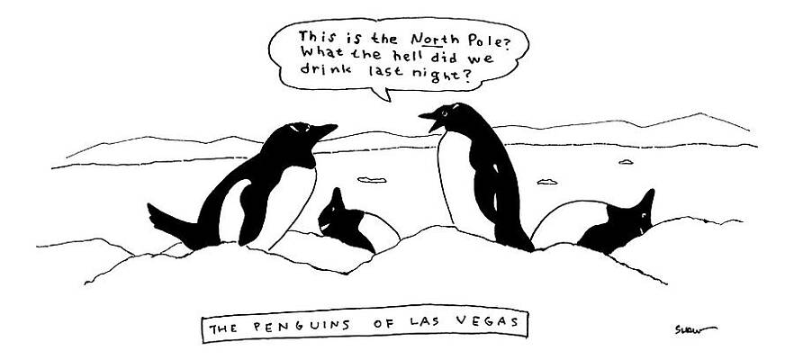 Penguins of Las Vegas Cartoon Wall Art