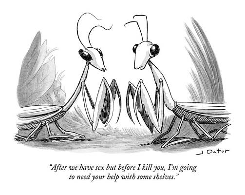 Humorous Praying Mantis Cartoon Drawing