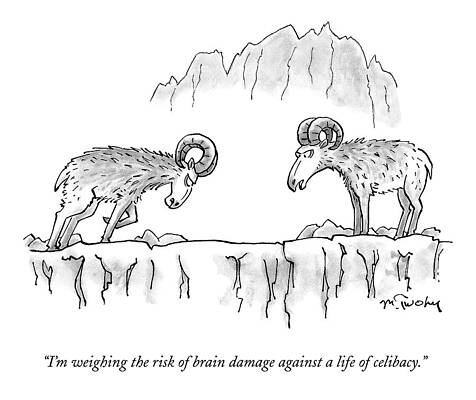 Brain Drawing - Two Rams Talk To Each Other by Mike Twohy