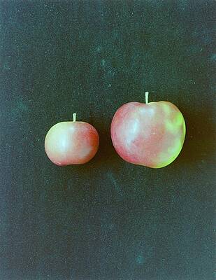 Fruit Photograph - Two Red Apples by Romulo Yanes