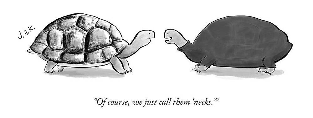 Turtle Neck Joke Wall Art