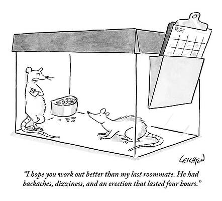 Lab Wall Art featuring the drawing Two Two Rats In A Cage Talking. One Is Standing by Robert Leighton