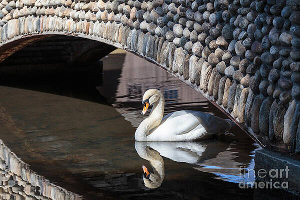 Wall Art featuring the photograph Underneath The Arch by Mary Lou Chmura